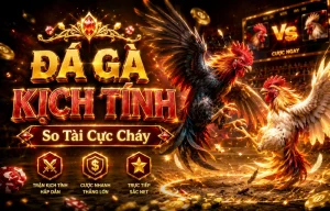 Giao diện Đá Gà DAGA trên mobile
