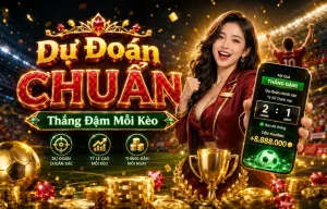 juntoscocinamos Thể Thao